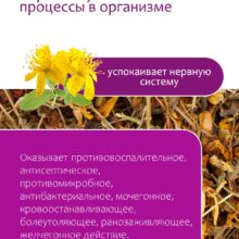 Зверобой 100 г