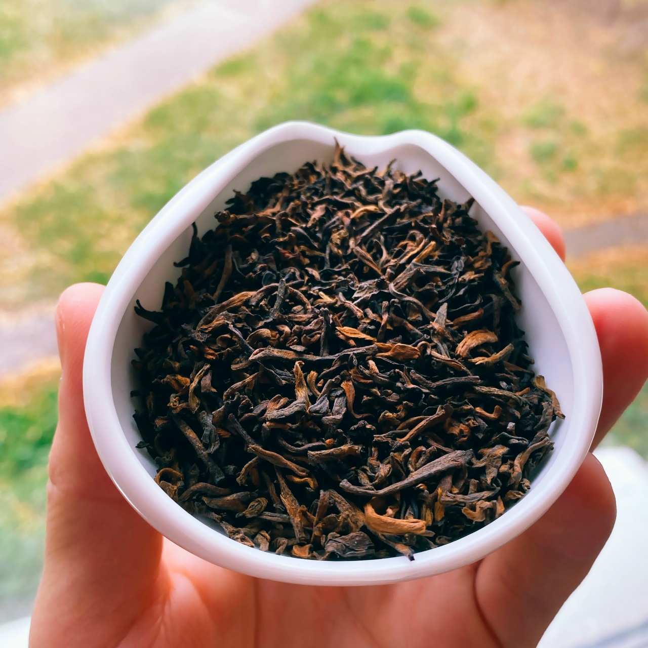 Mdqwicn9yqtgjaaim93uf0dedc36adgmzpu55tvuu dozkw a3renrtnmohg ozyvgsguc5bc oijzej7ksbkrzz