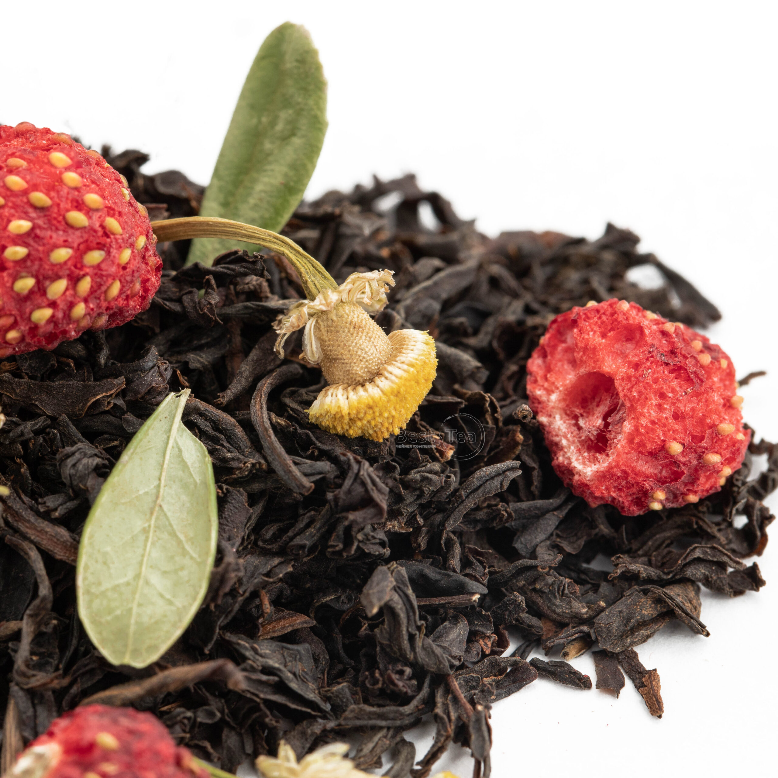 Лесная земляника