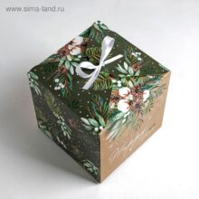 Коробка складная Шишка 18*18*18