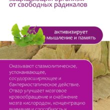 Гинкго билоба листья 50 г