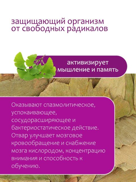 Гинкго билоба листья 50 г